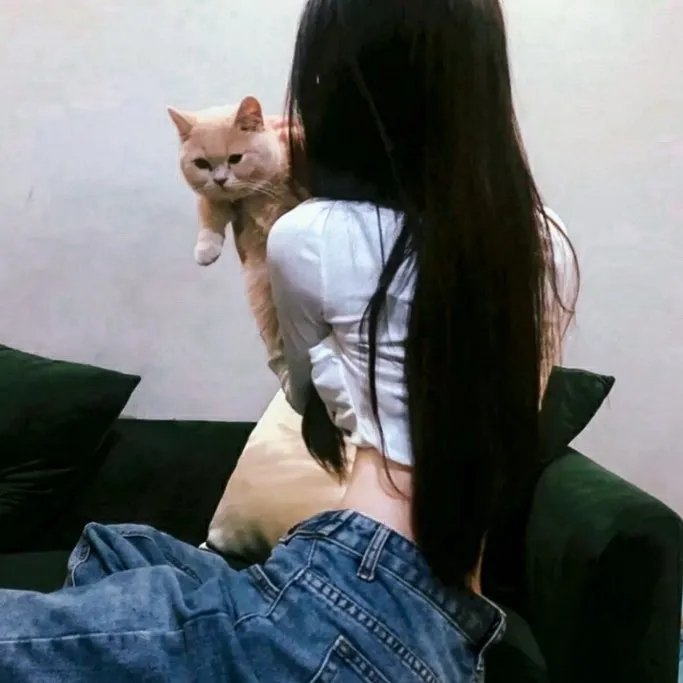 金装律师第二季